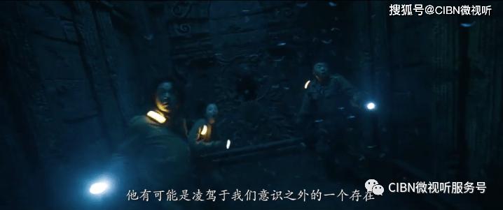 奥利维亚收养猫