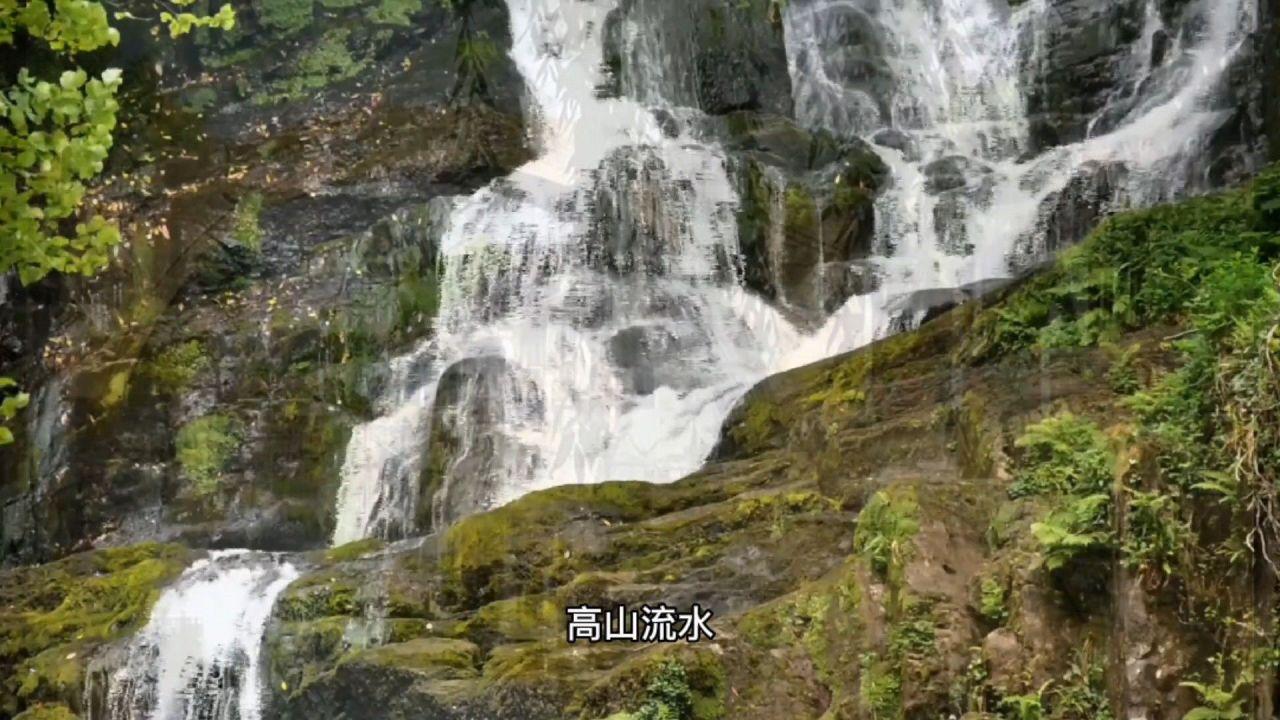 美容师证都考啥啊 美容师证需要复审吗